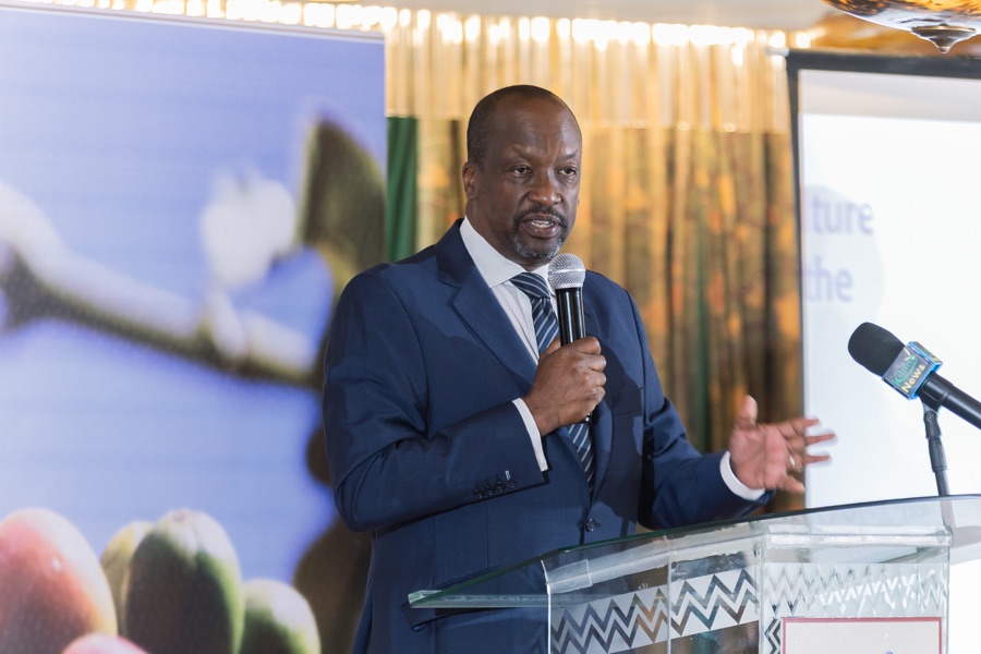 UNIDO international conference keynote speaker Nairobi Kenya