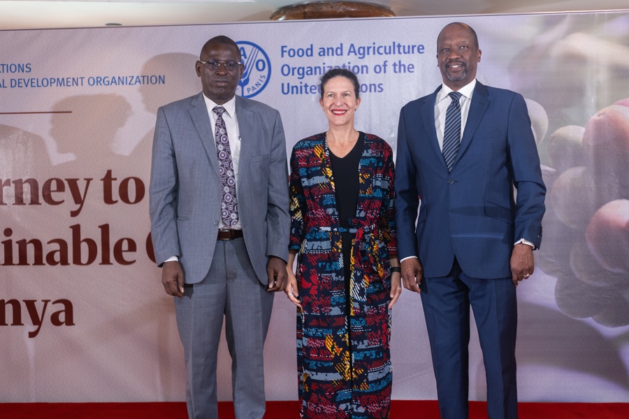 UNIDO East Africa summit panel discussion event videography